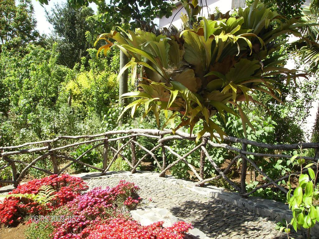 Casa Rosa Villa Camacha  Rum bild